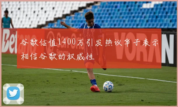 谷歌估值1400万引发热议华子表示相信谷歌的权威性
