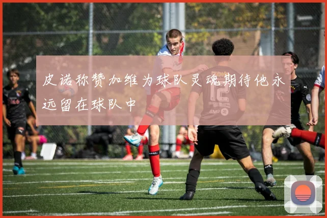 皮诺称赞加维为球队灵魂期待他永远留在球队中